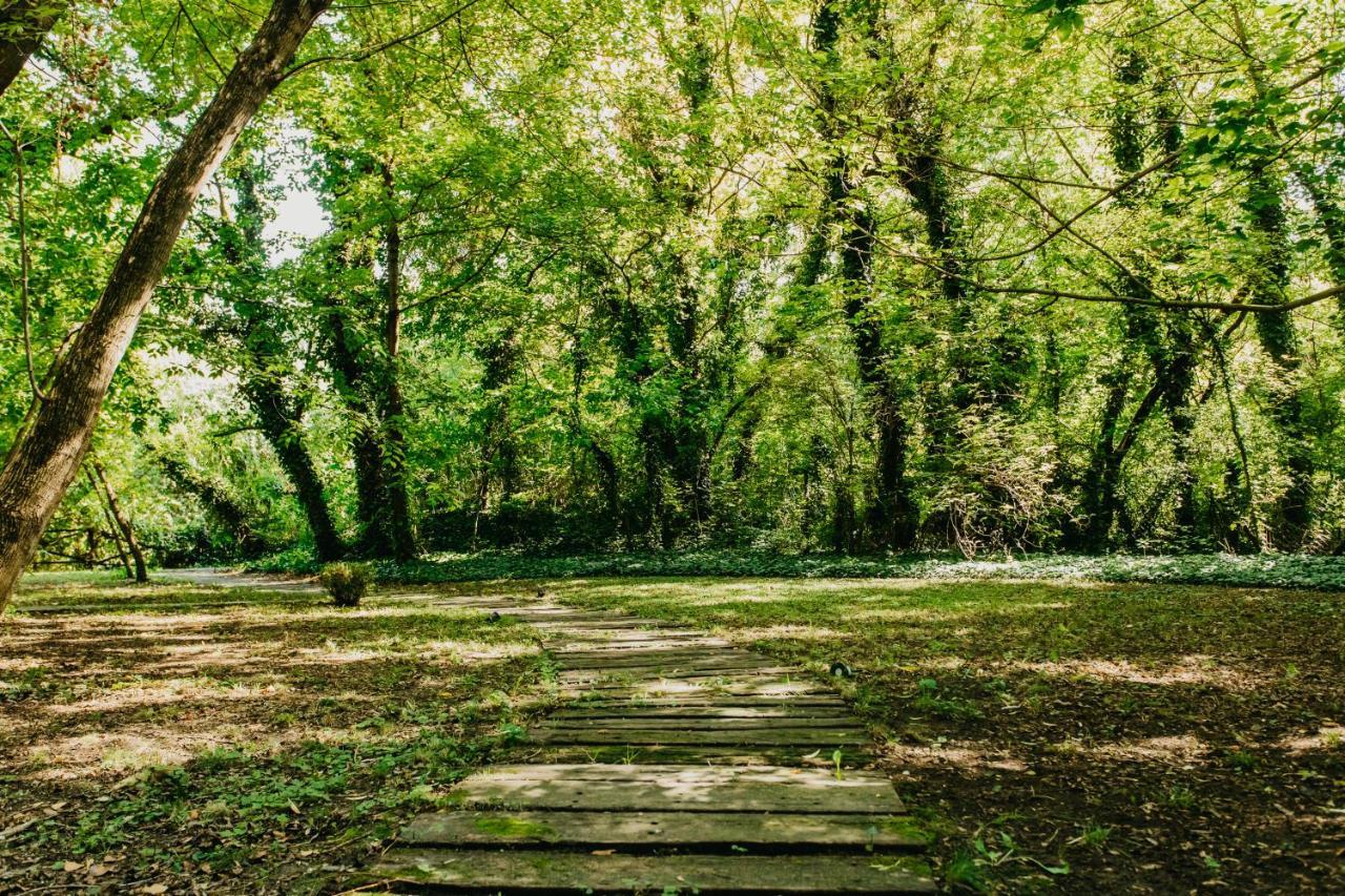 Forest House Palics Kültér fotó