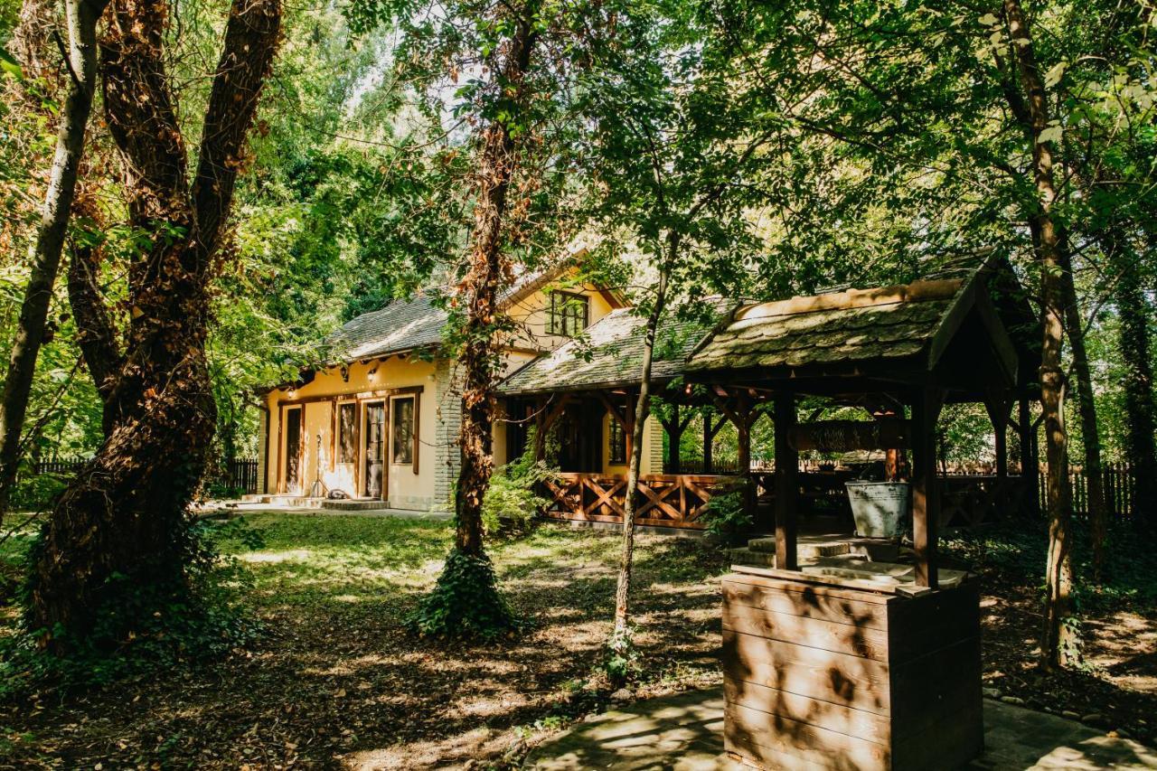 Forest House Palics Kültér fotó